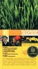 Растительная жизнь Часть 6 Формат: VHS Дистрибьютор: Мастер Тэйп Лицензионные товары Характеристики видеоносителей 2002 г , 110 мин , Россия Телекомпания НТВ Телепередача инфо 4426i.